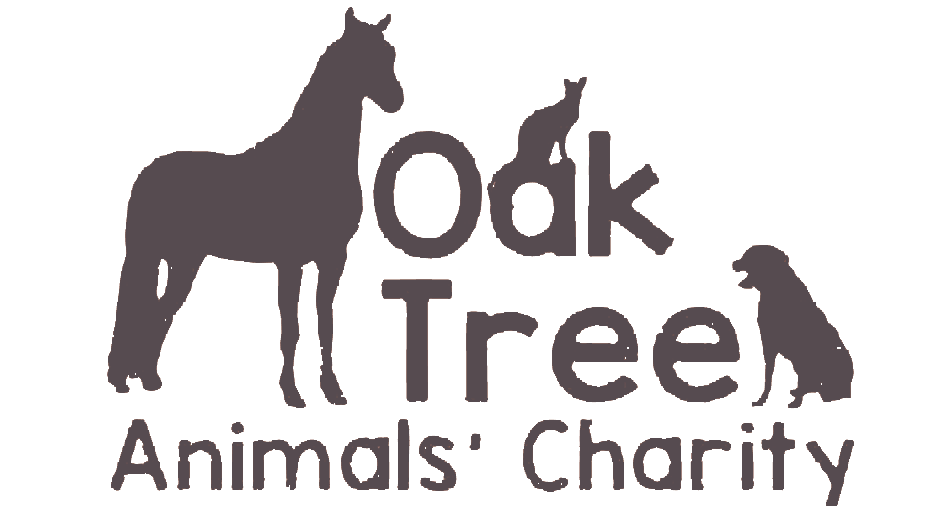 Oak Tree Animals